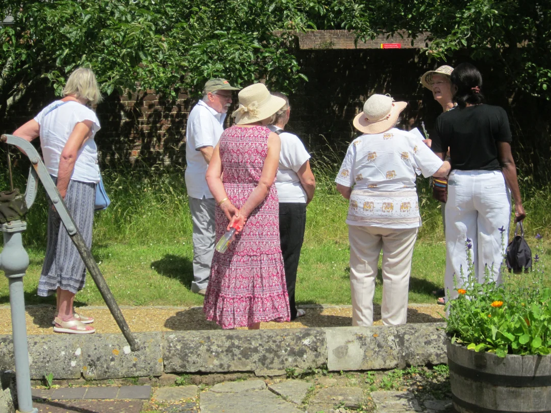 Outings-gardens