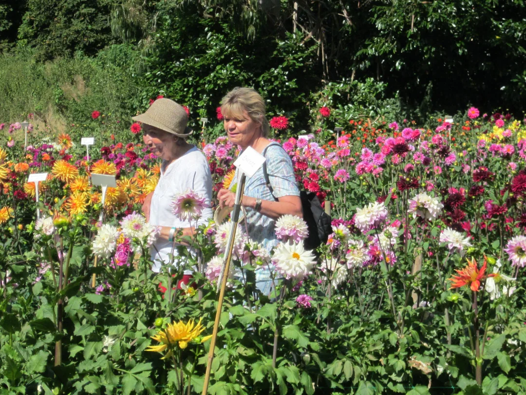 Outings-gardens2